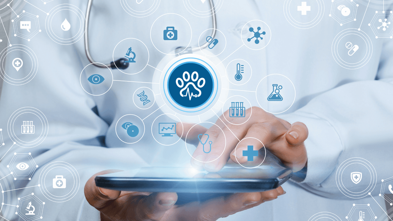 Veterinarian holding a tablet with a digital veterinary care interface centered on a paw print and heart-rate line