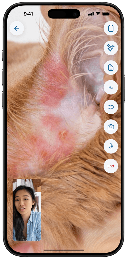 Vetibility on iPhone: video visit with in-call controls