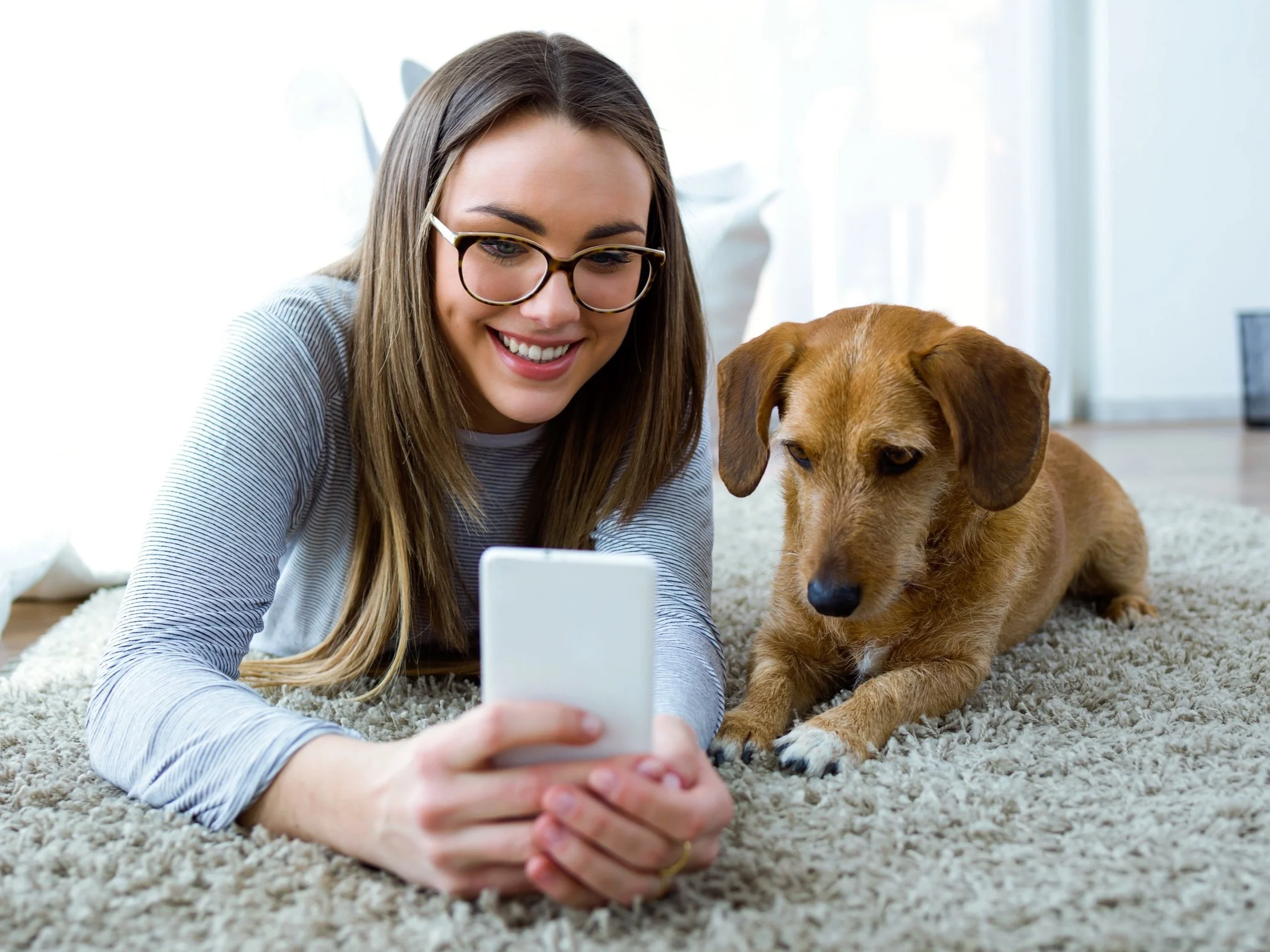 Veterinarian Examining Dog in Clinic