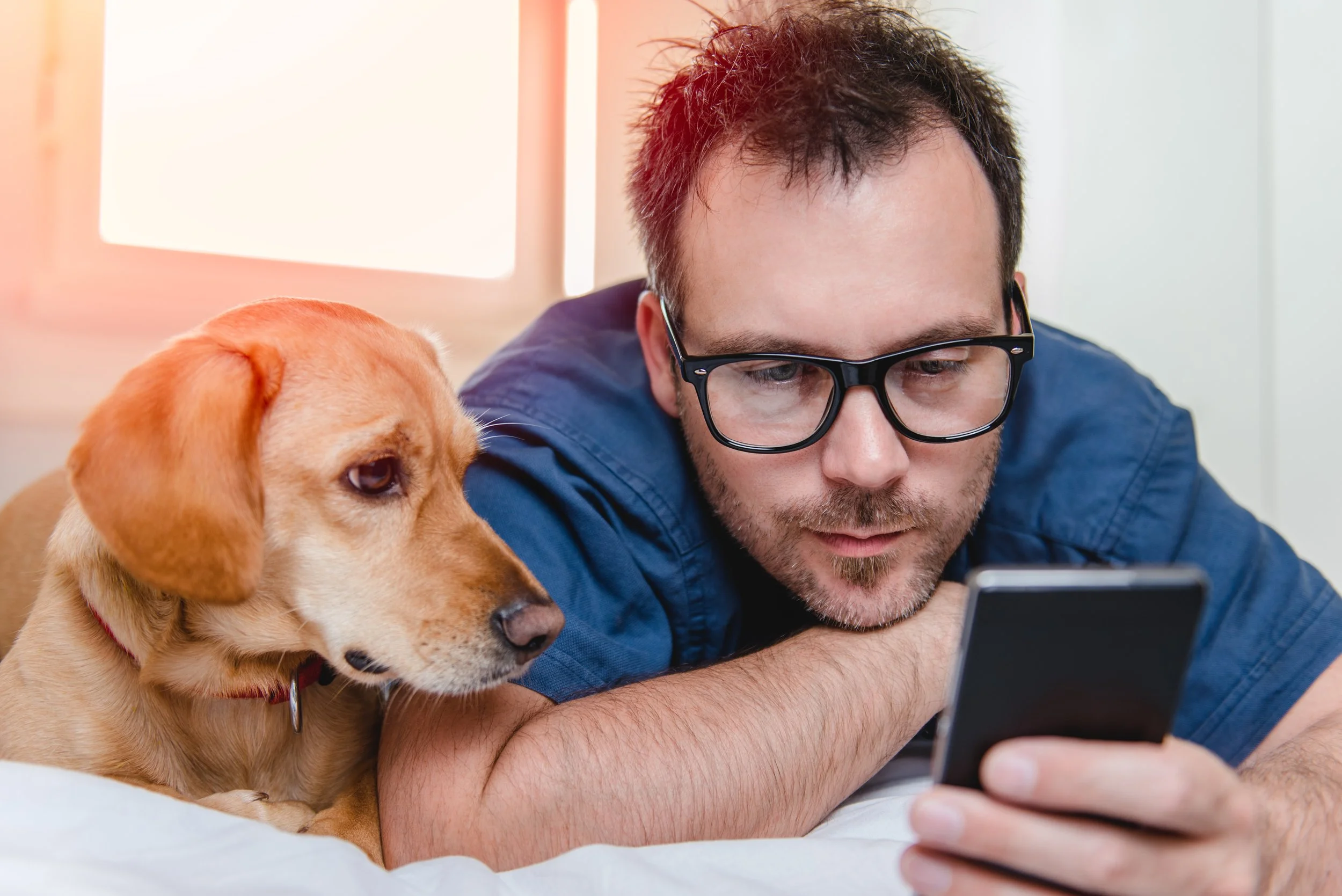 Man in scrubs and a dog lying side by side looking at a smartphone